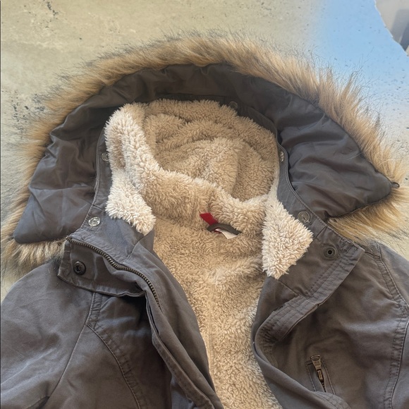 Divided Gray Hooded Jacket with Faux Fur Trim - Picture 4 of 5